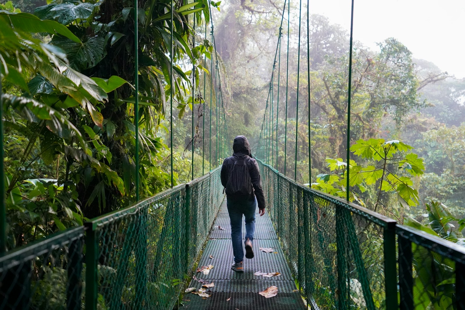 Costa Rica Low-Sensory Rainforest Lodge