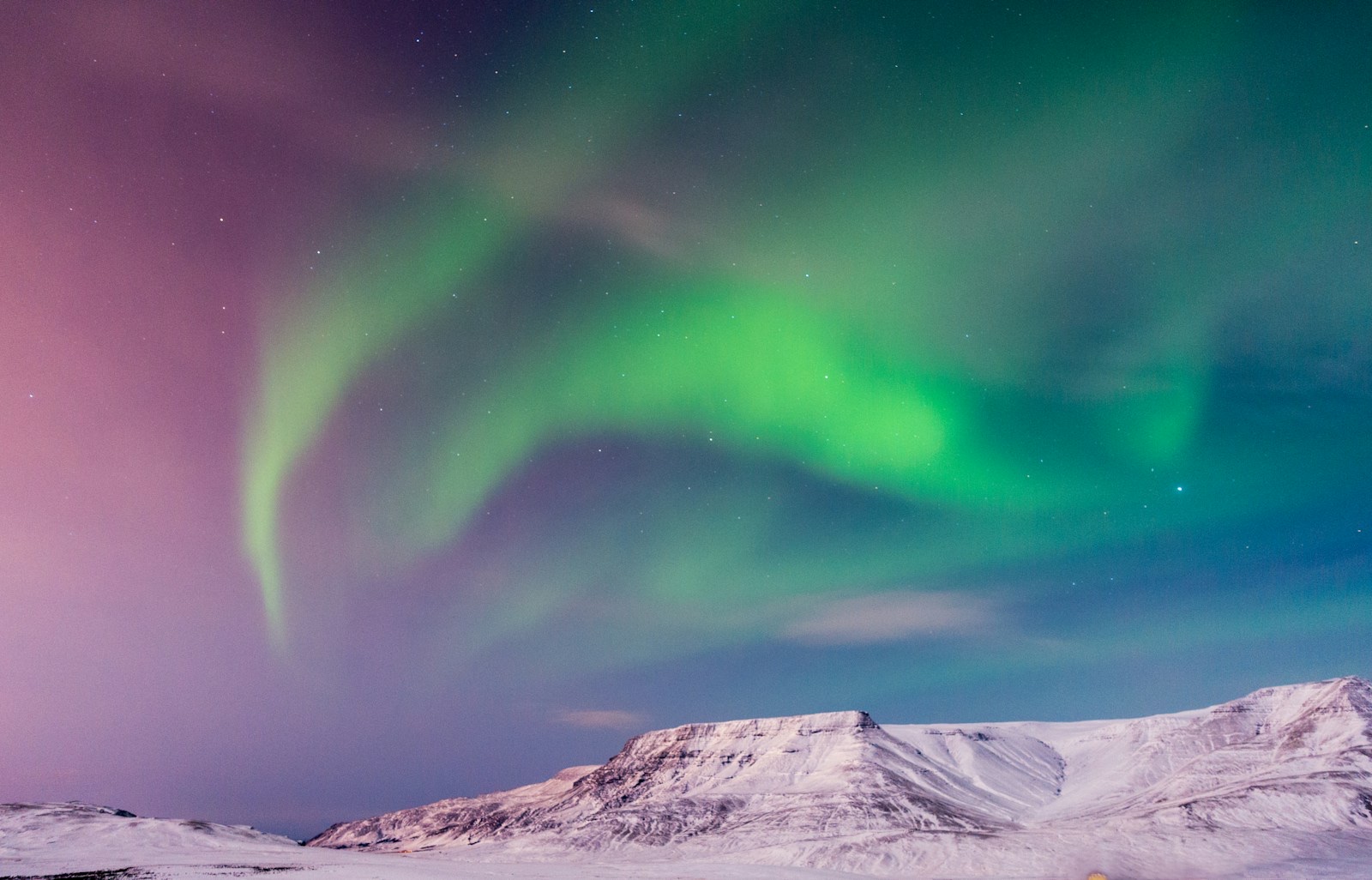 Reykjavik Northern Lights by Paratransit