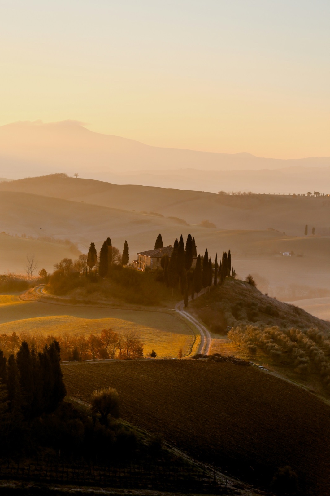 Tuscany Support-Person Wine Country